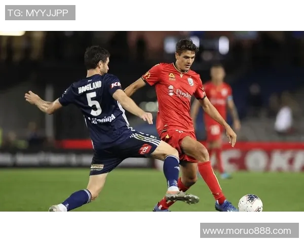 墨尔本鲨鱼对决墨尔本胜利激烈比赛引发球迷热议与期待